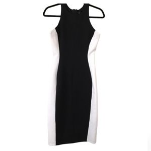 Metaphor Black and White Bodycon Dress